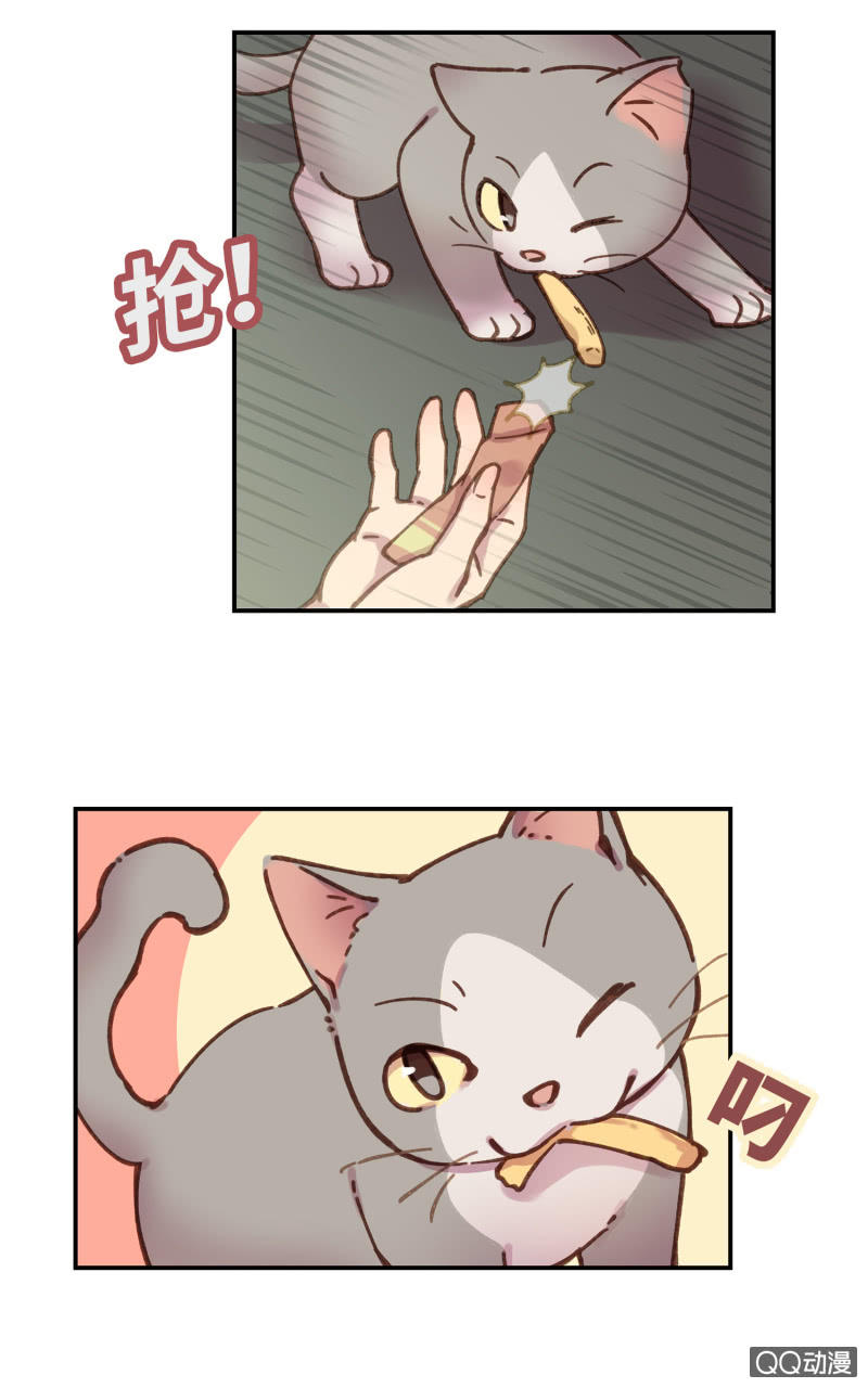 第24杯『巧遇』-第27话