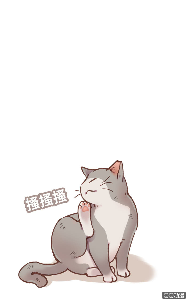 第24杯『巧遇』-第27话