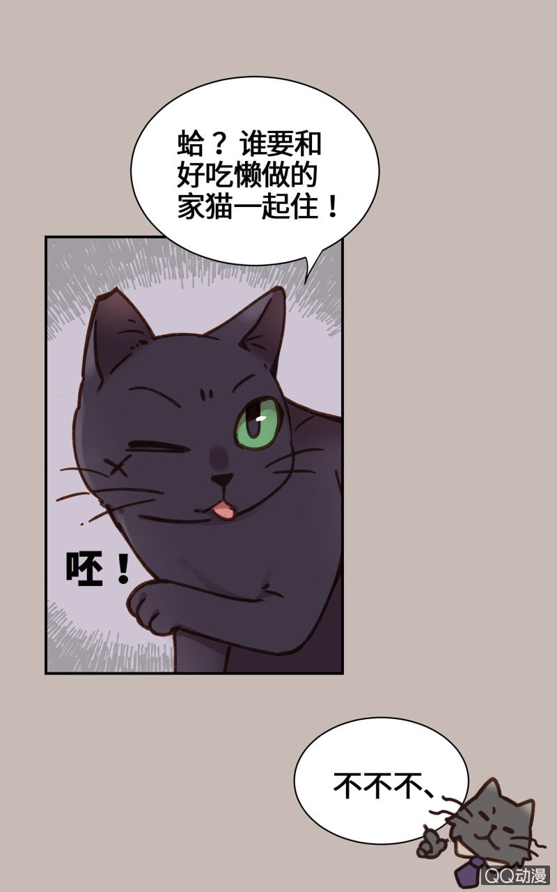 第26杯『情窦初开』-第29话