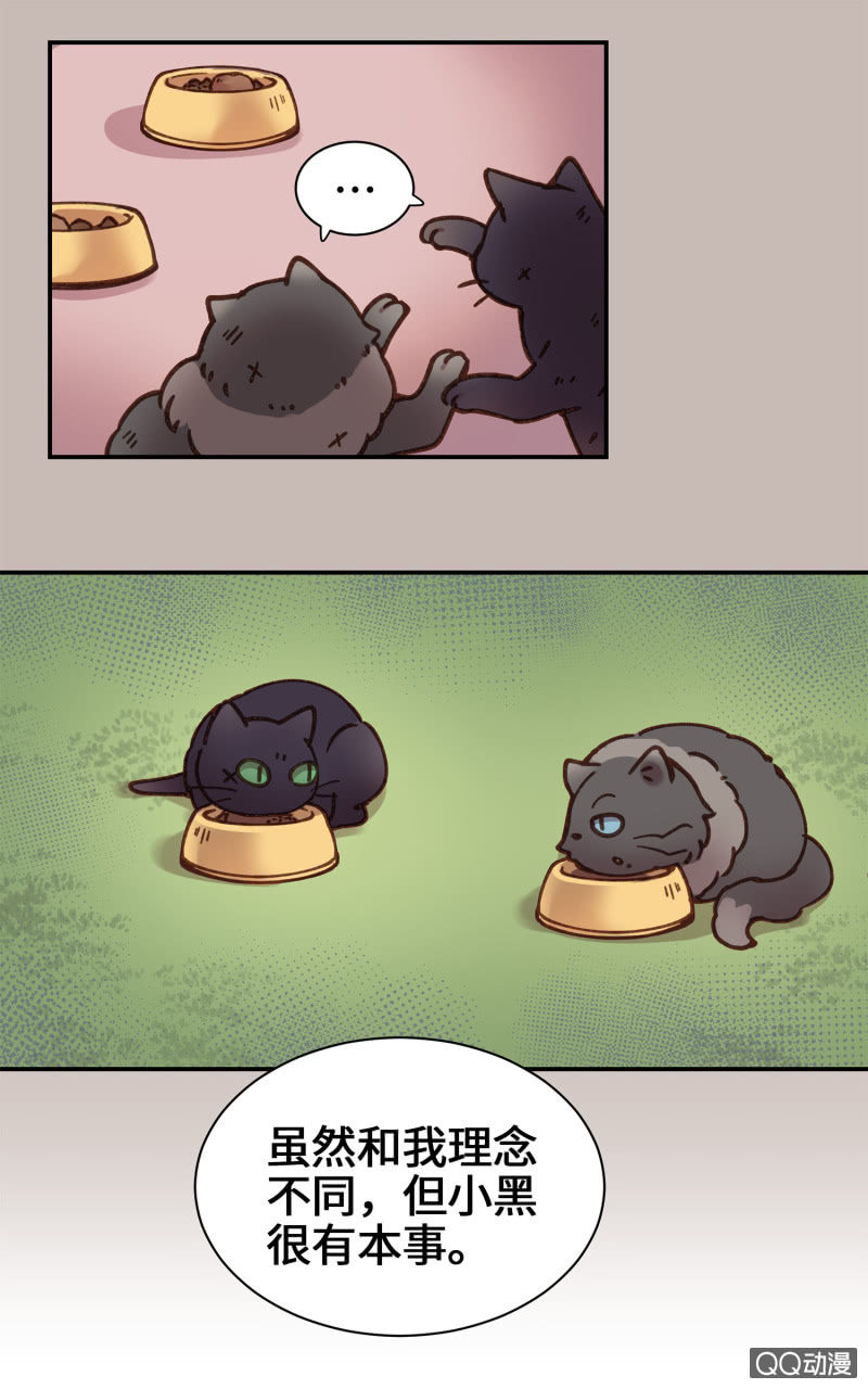 第26杯『情窦初开』-第29话