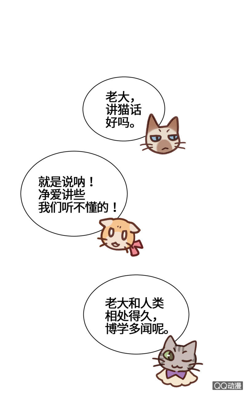 第26杯『情窦初开』-第29话