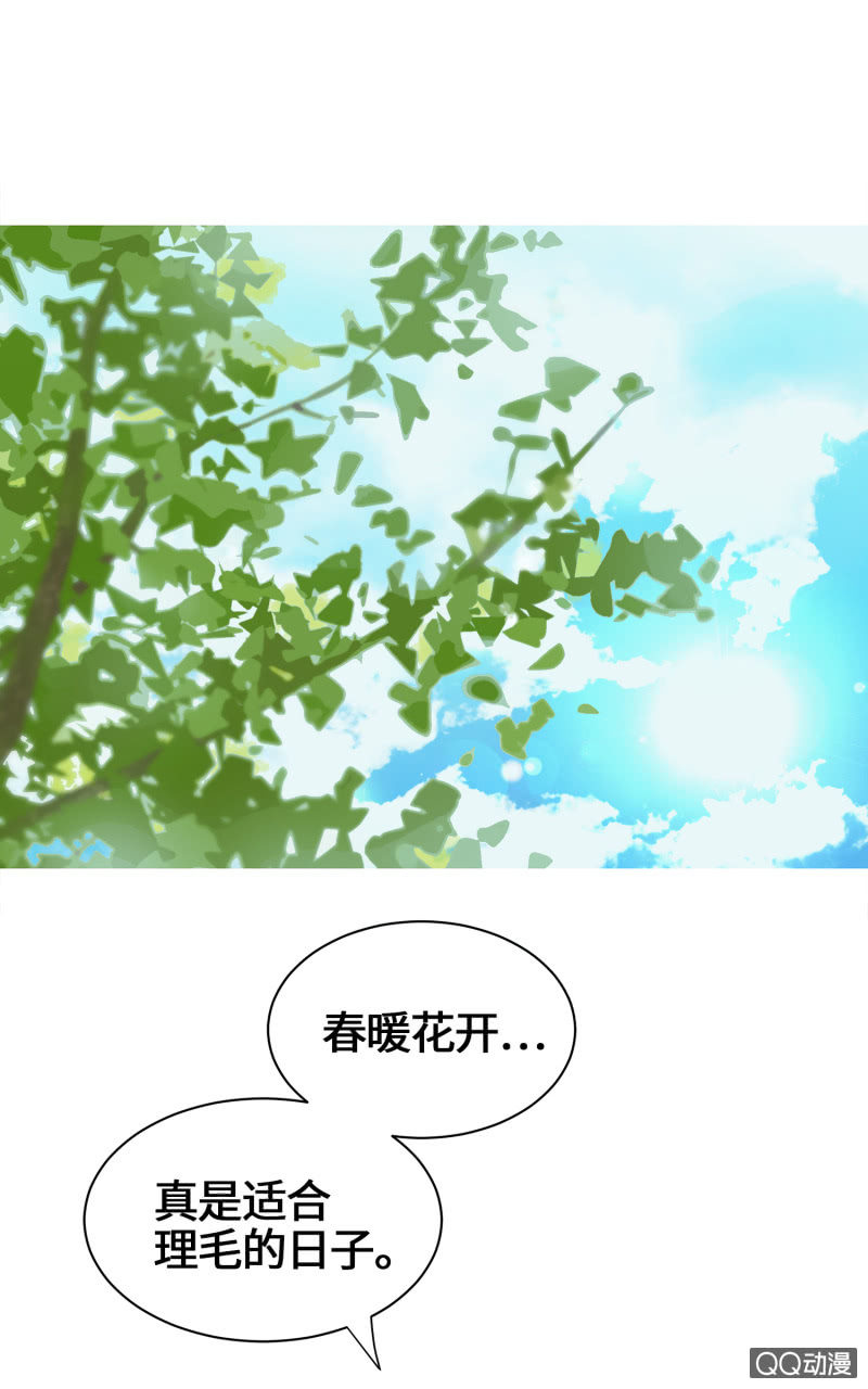 第26杯『情窦初开』-第29话