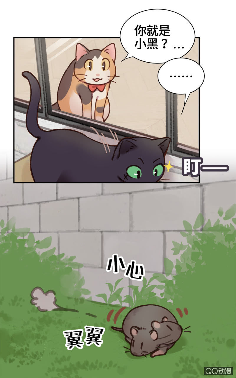 第26杯『情窦初开』-第29话