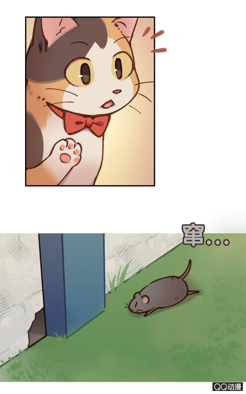 第26杯『情窦初开』-第29话