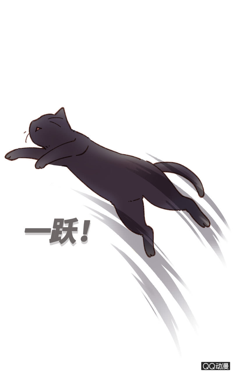 第26杯『情窦初开』-第29话