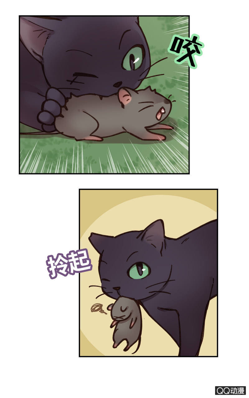 第26杯『情窦初开』-第29话