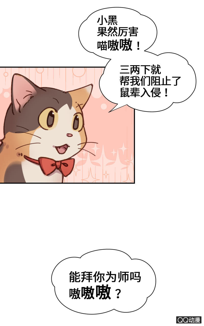 第26杯『情窦初开』-第29话