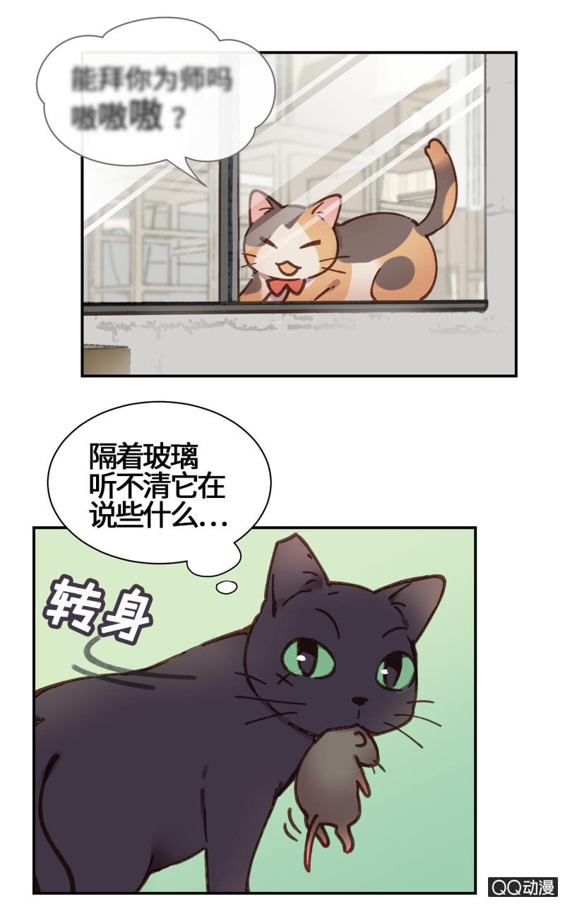 第26杯『情窦初开』-第29话