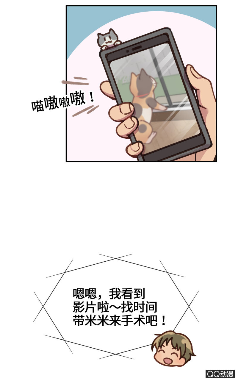 第26杯『情窦初开』-第29话