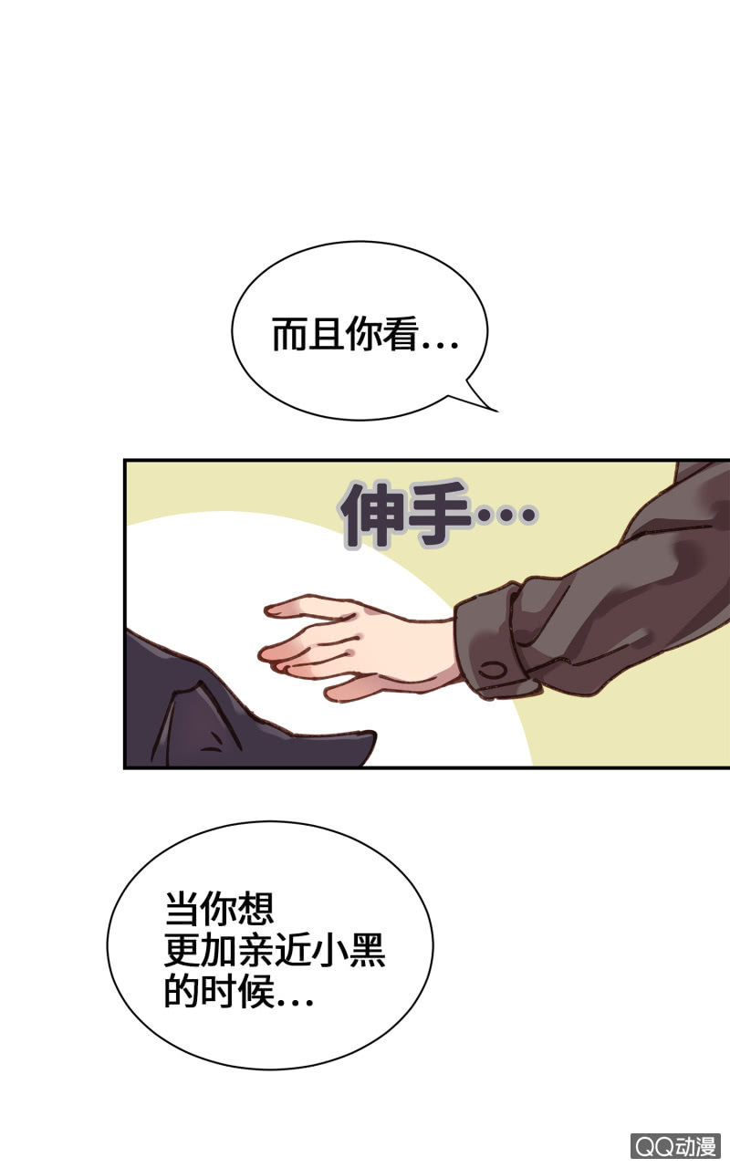 第27杯『四海为家』-第31话