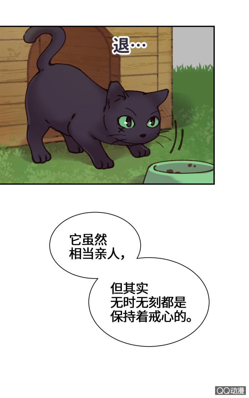 第27杯『四海为家』-第31话