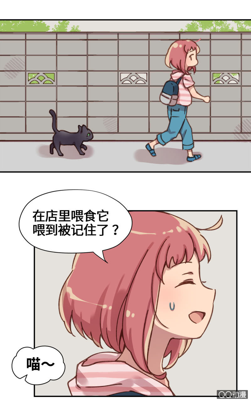 第27杯『四海为家』-第31话