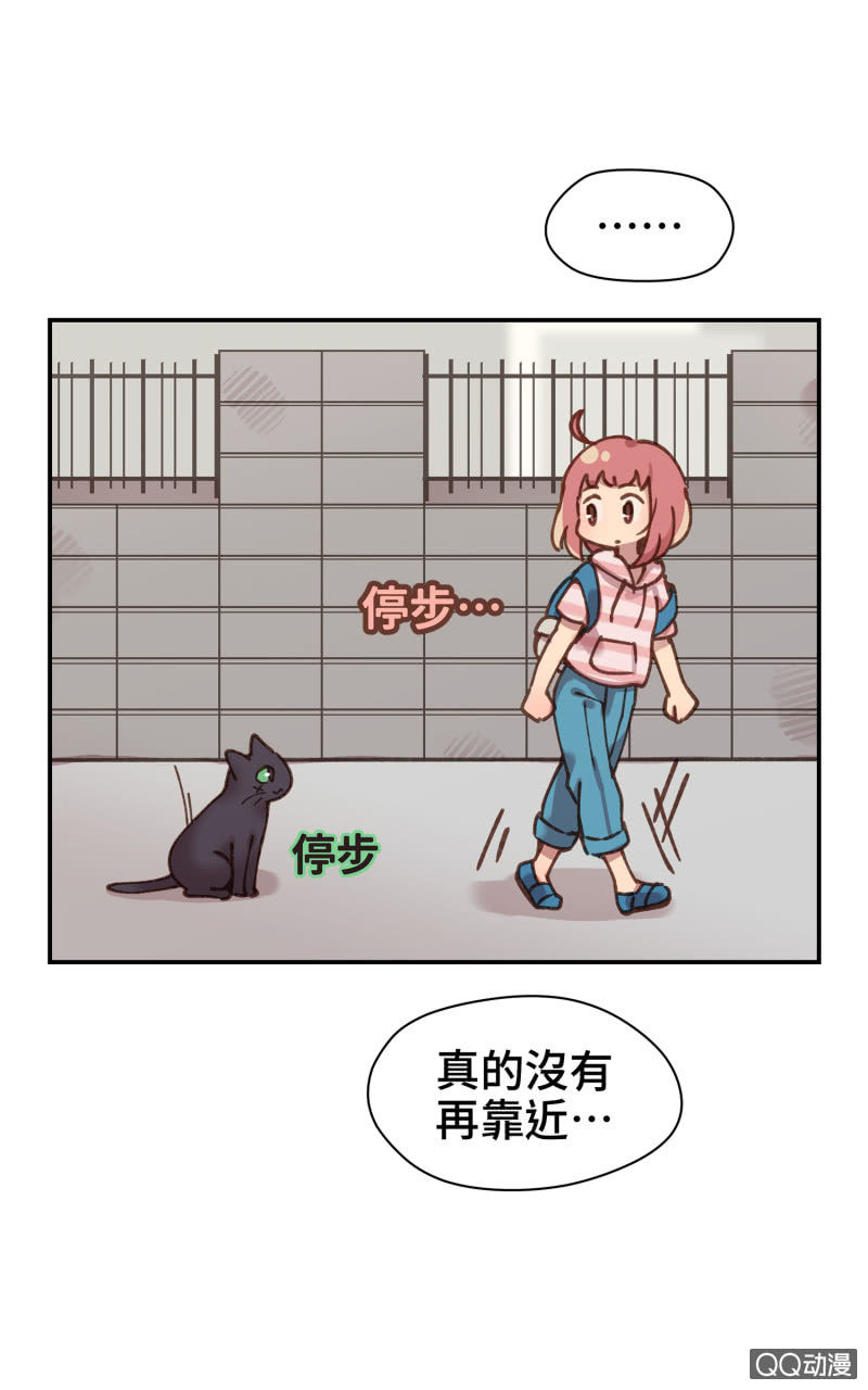 第27杯『四海为家』-第31话