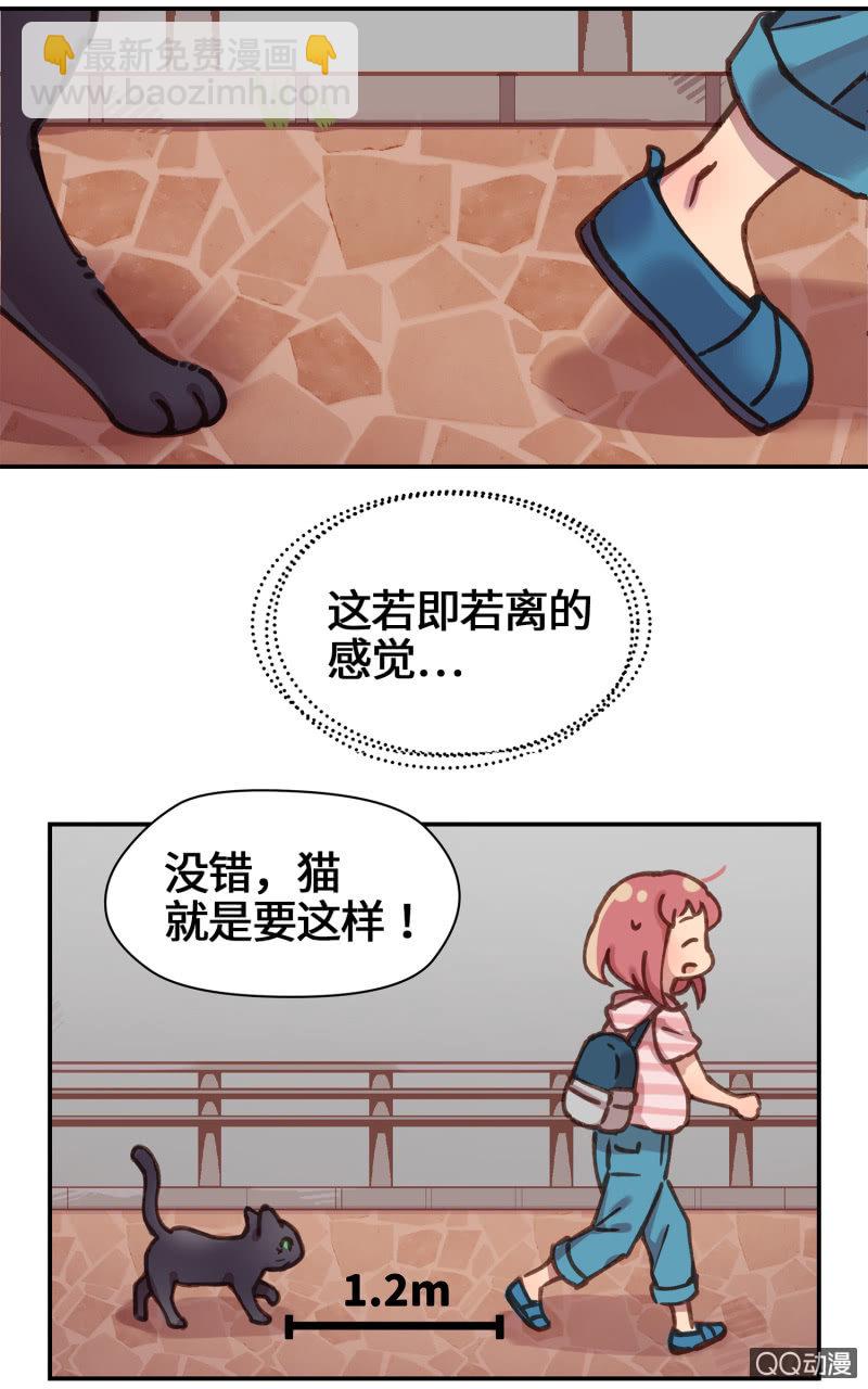 第27杯『四海为家』-第31话