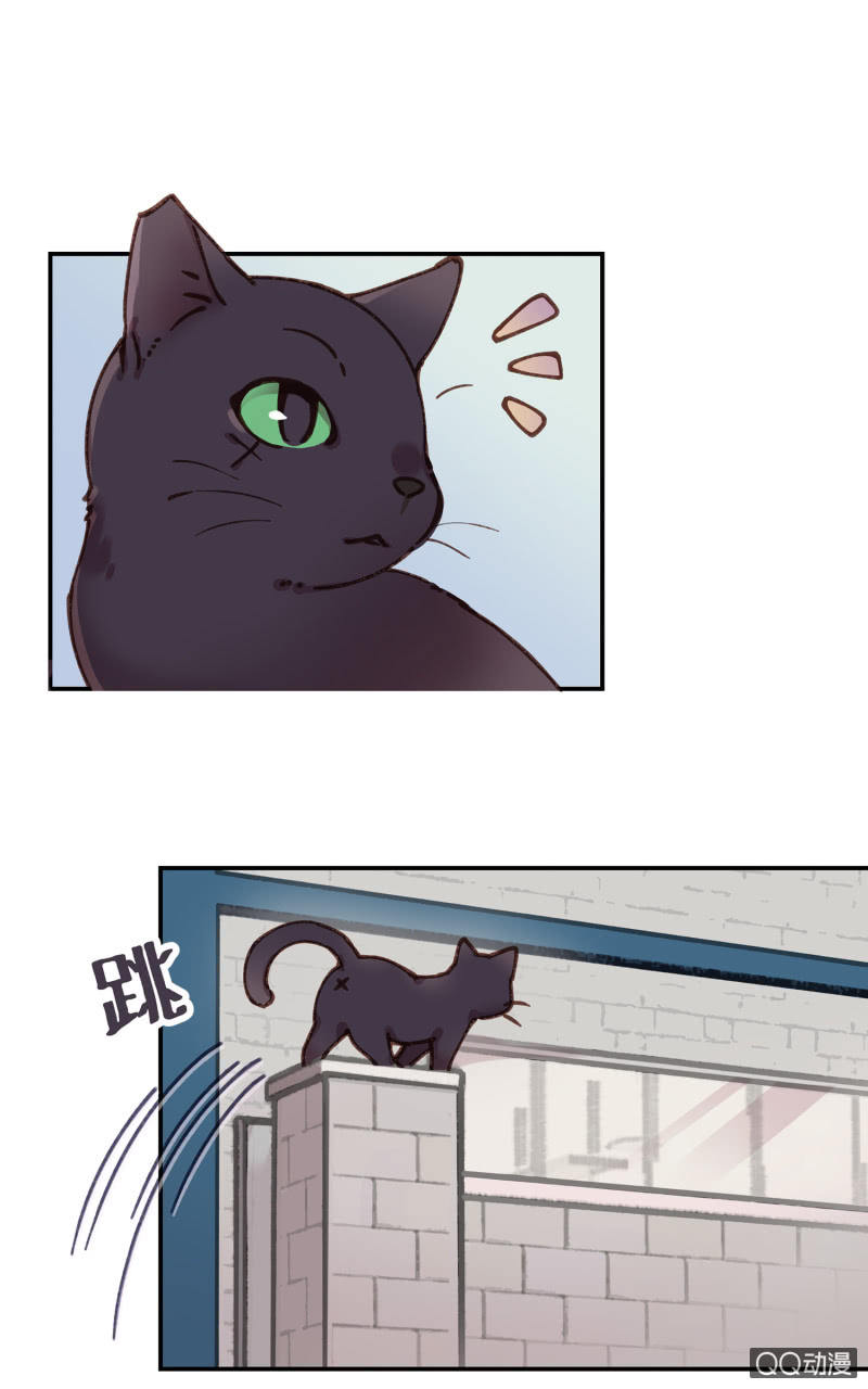 第27杯『四海为家』-第31话