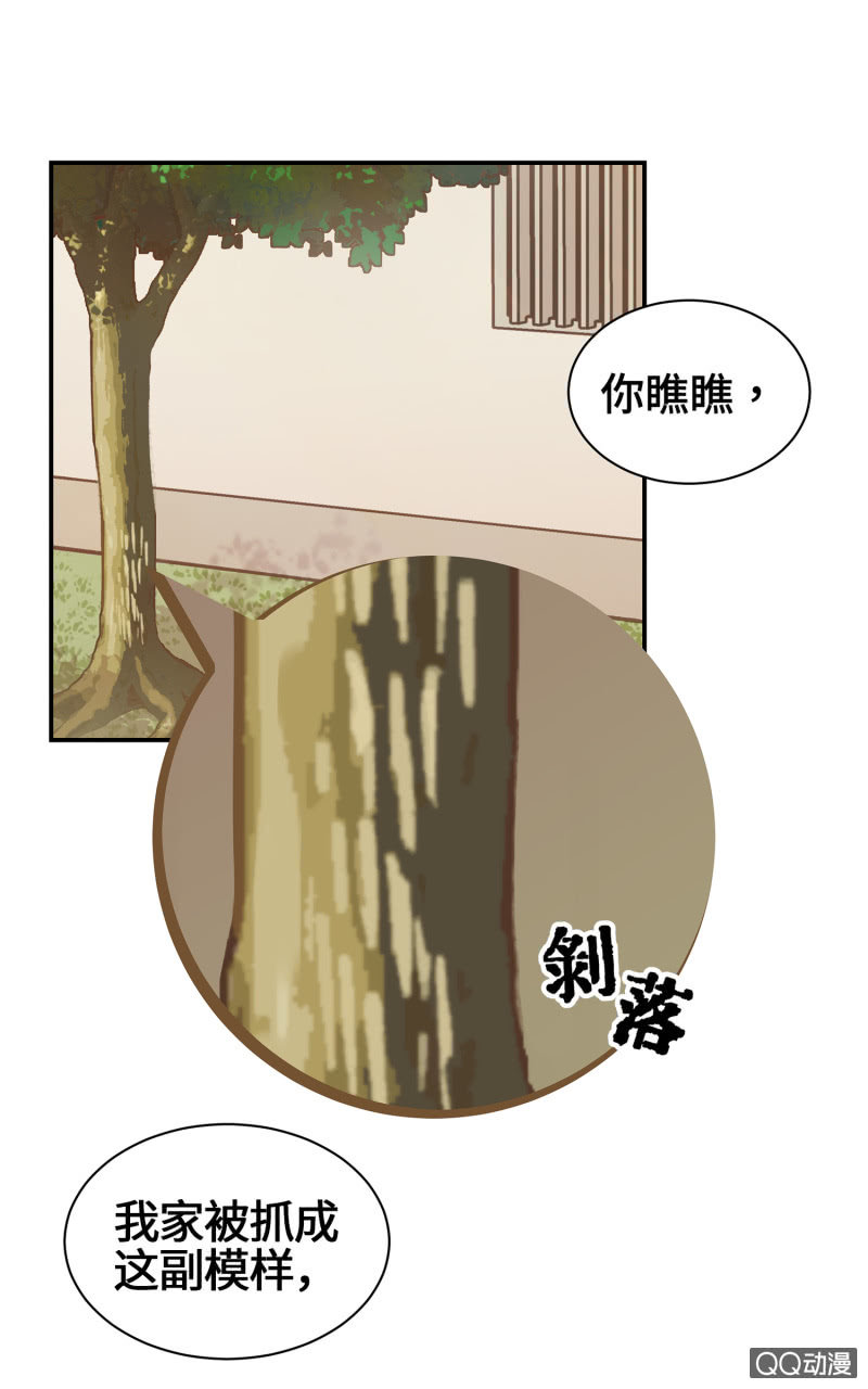 第27杯『四海为家』-第31话