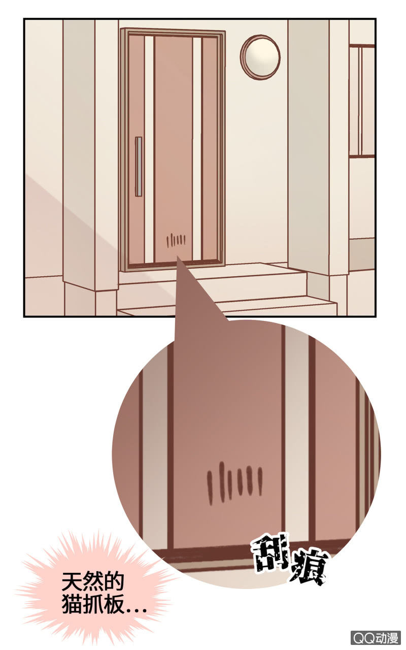 第27杯『四海为家』-第31话