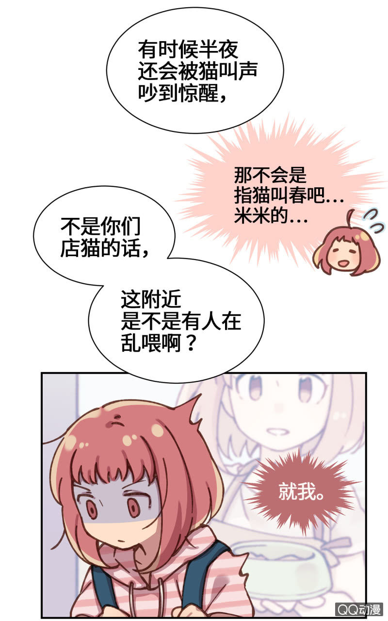 第27杯『四海为家』-第31话