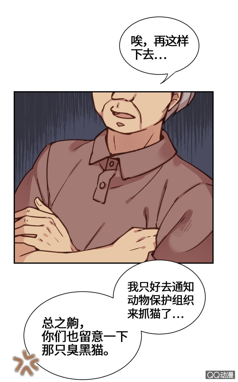 第27杯『四海为家』-第31话