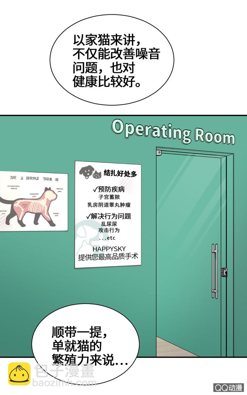 第29杯『最后一次初恋』-第33话