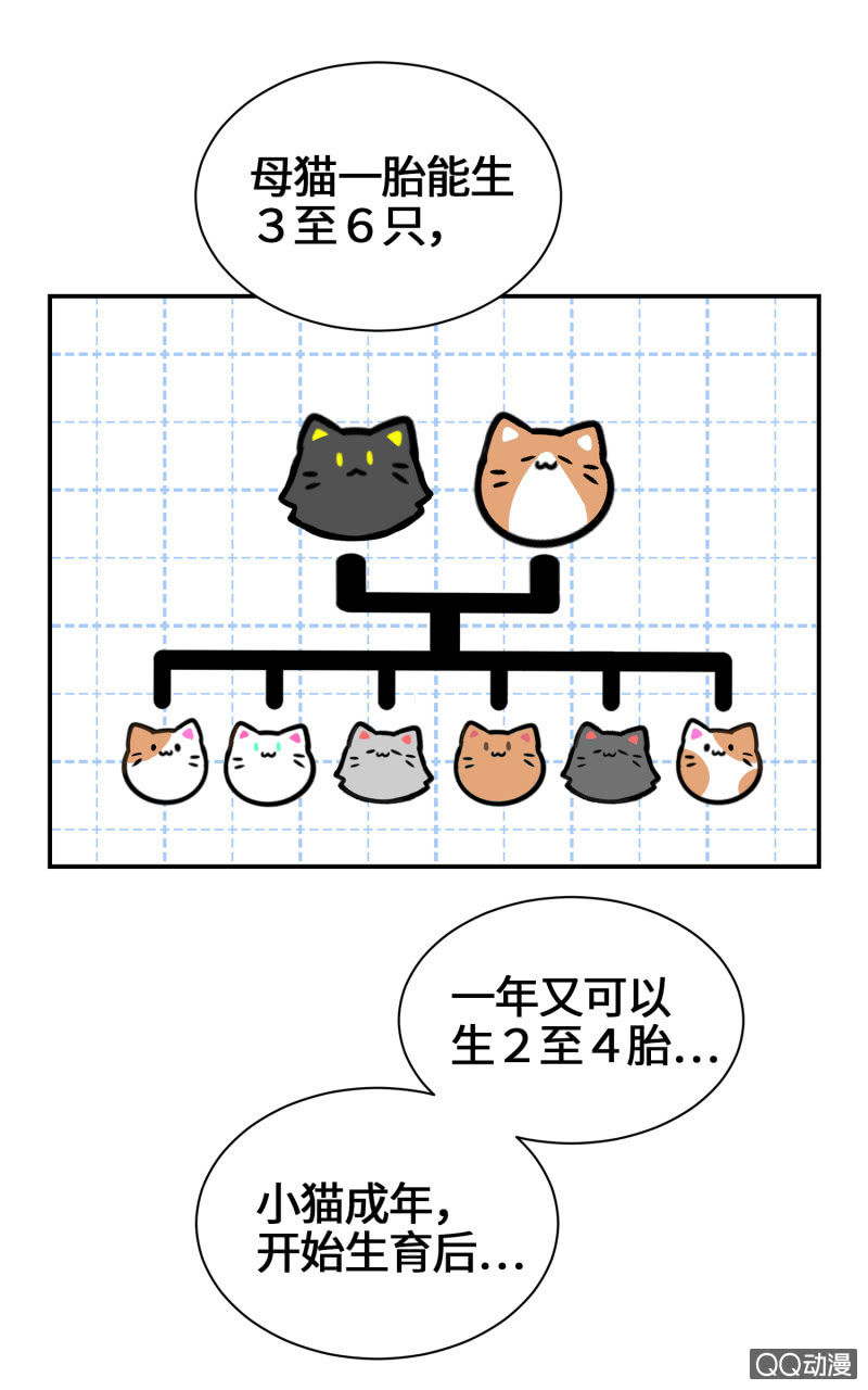 第29杯『最后一次初恋』-第33话