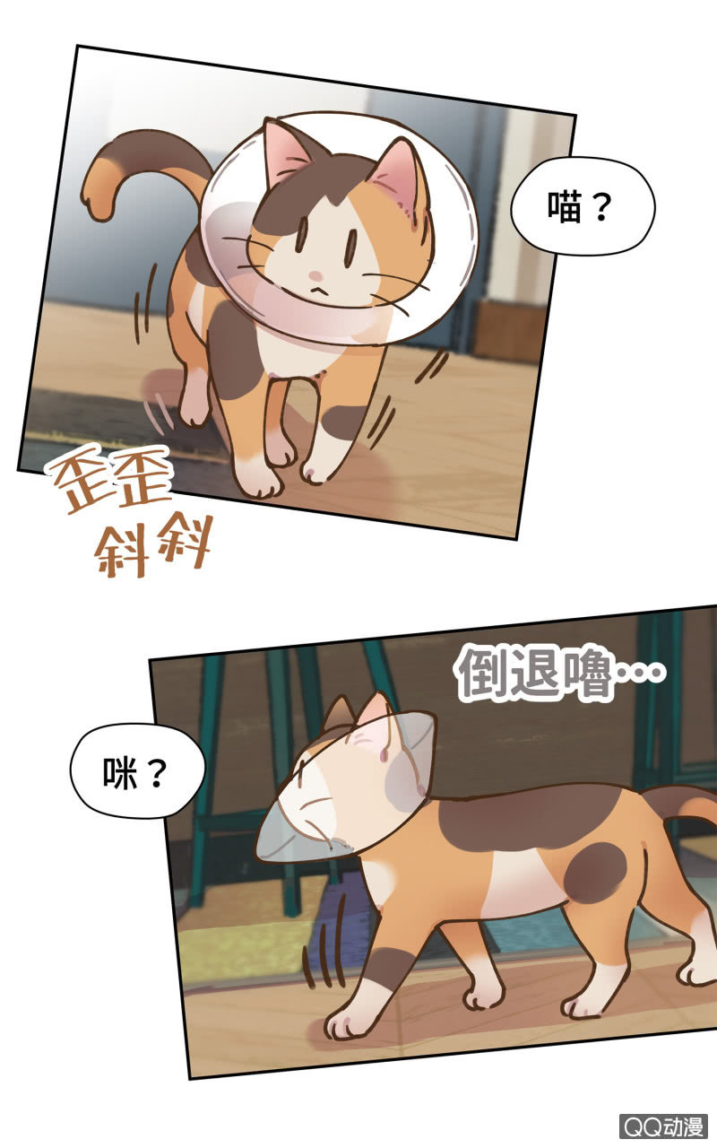 第29杯『最后一次初恋』-第33话