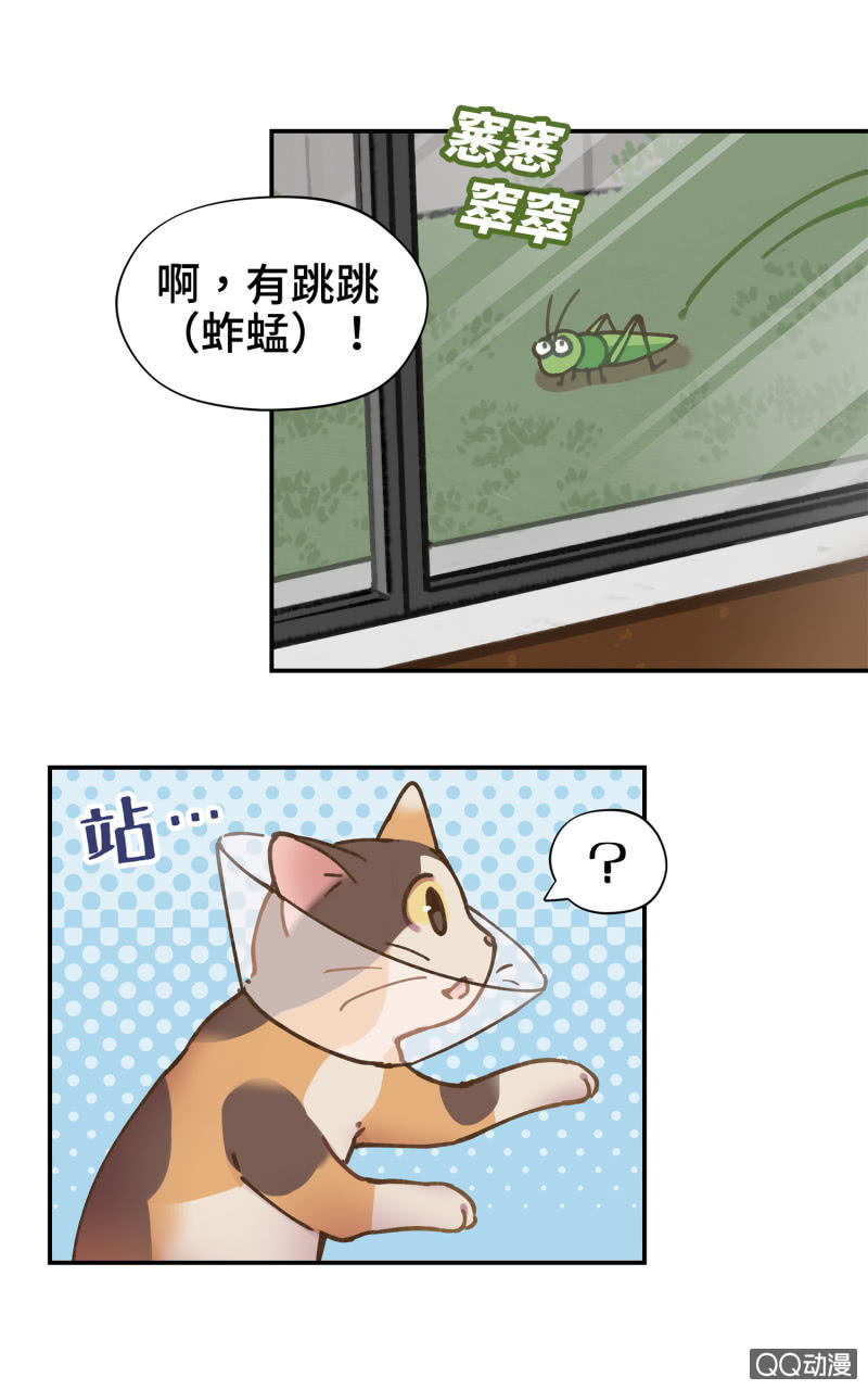 第29杯『最后一次初恋』-第33话