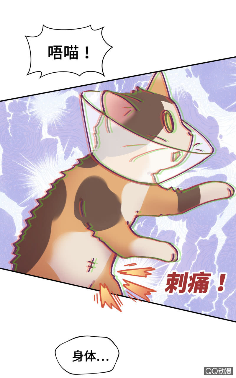 第29杯『最后一次初恋』-第33话