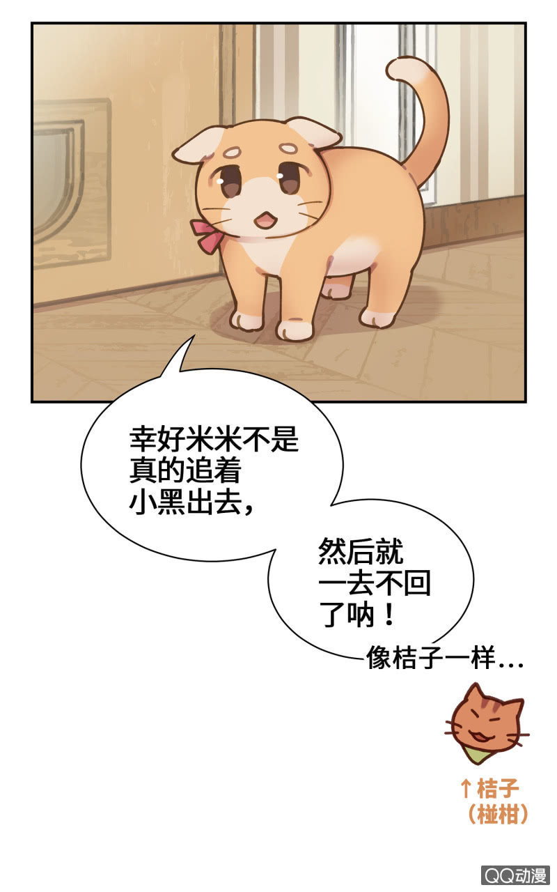 第29杯『最后一次初恋』-第33话