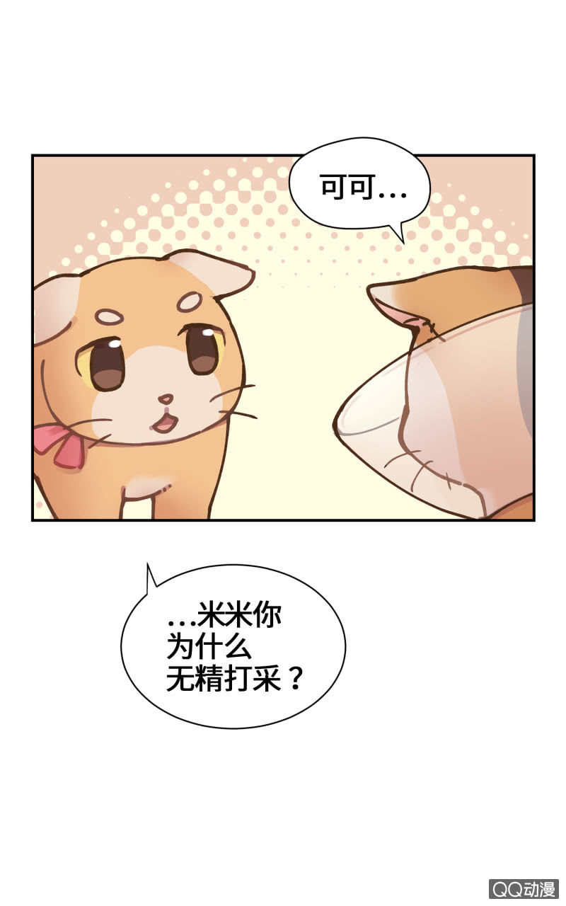 第29杯『最后一次初恋』-第33话