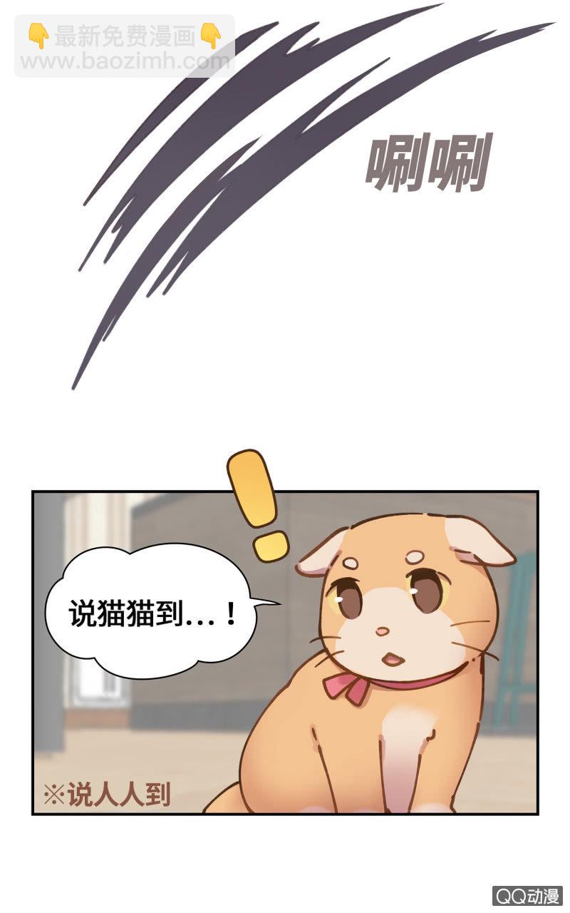 第29杯『最后一次初恋』-第33话