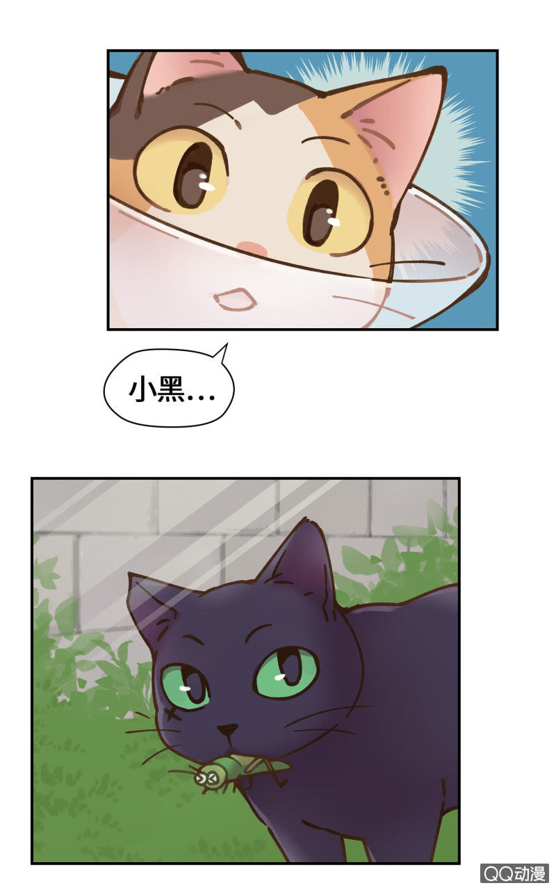 第29杯『最后一次初恋』-第33话