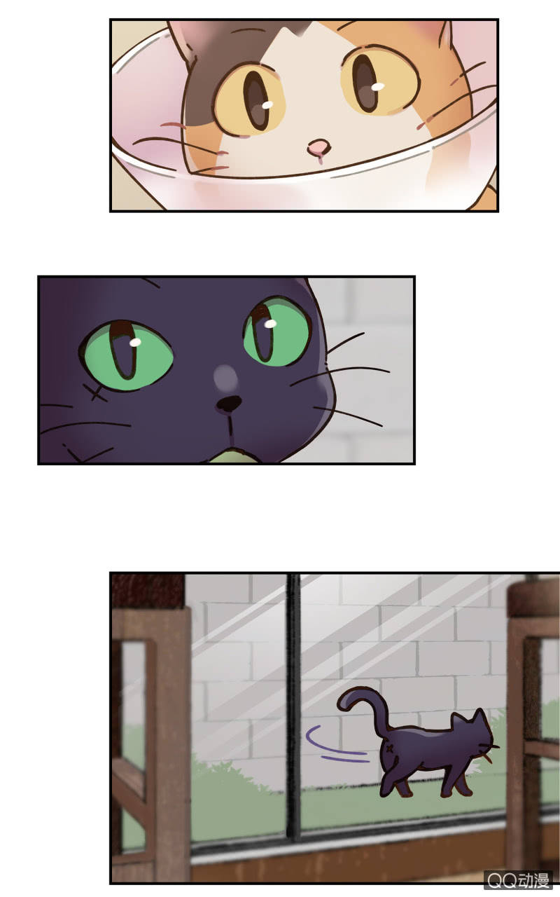 第29杯『最后一次初恋』-第33话