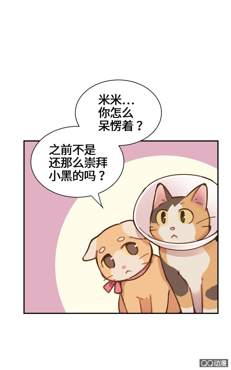 第29杯『最后一次初恋』-第33话