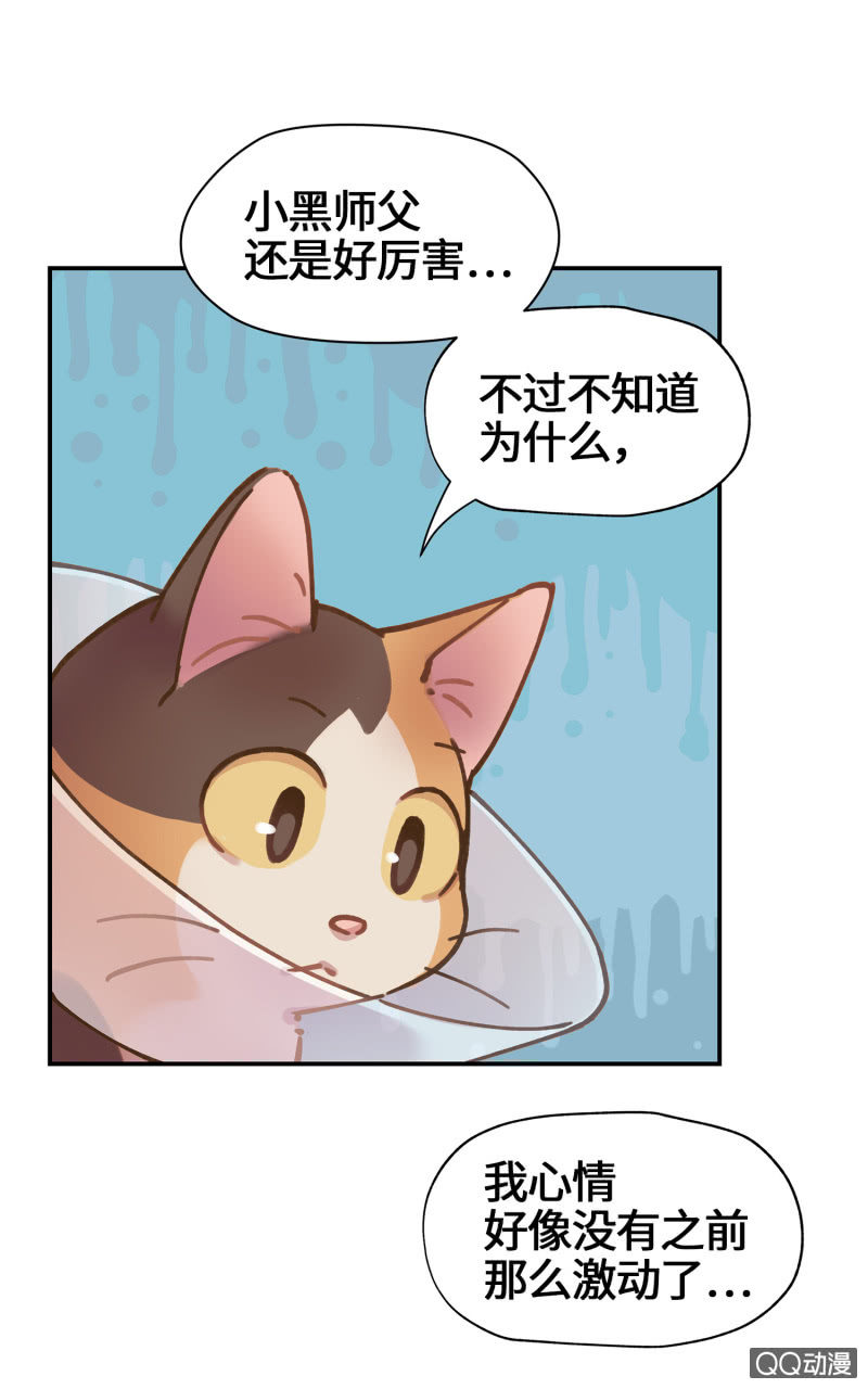 第29杯『最后一次初恋』-第33话