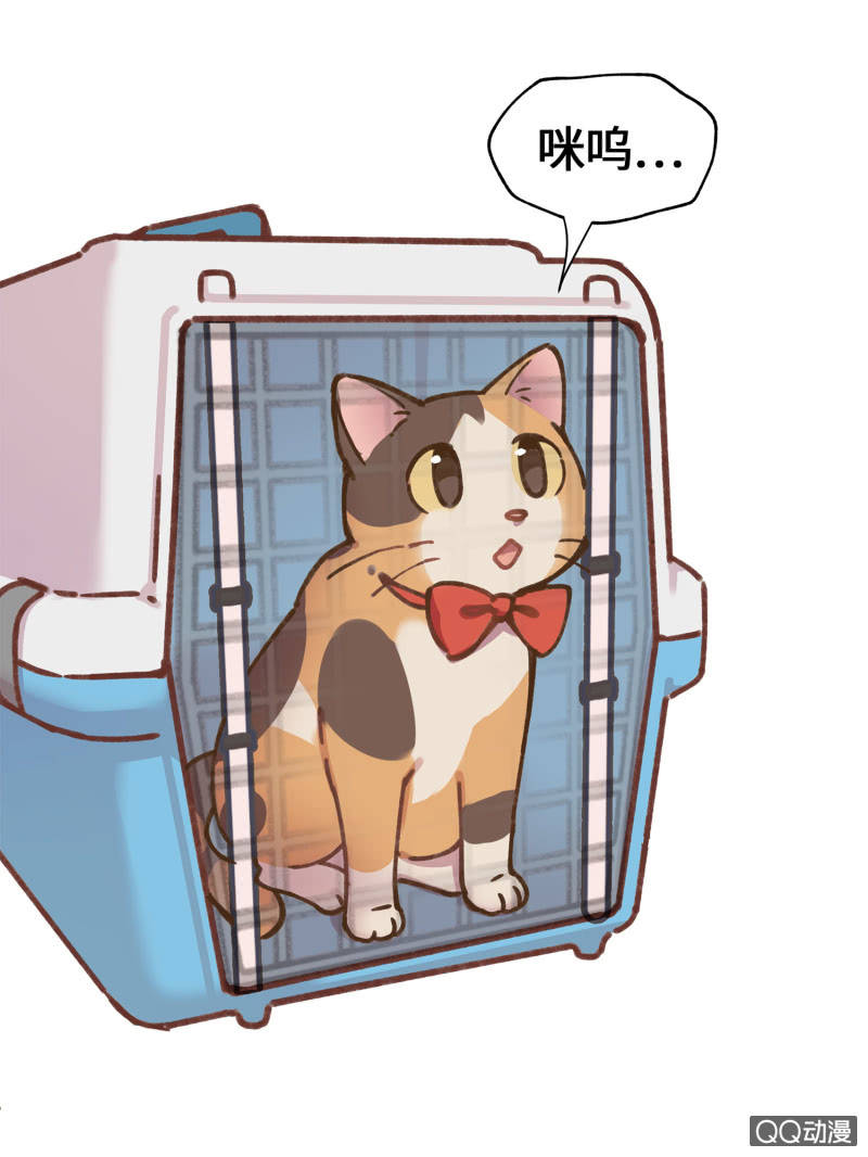 第29杯『最后一次初恋』-第33话