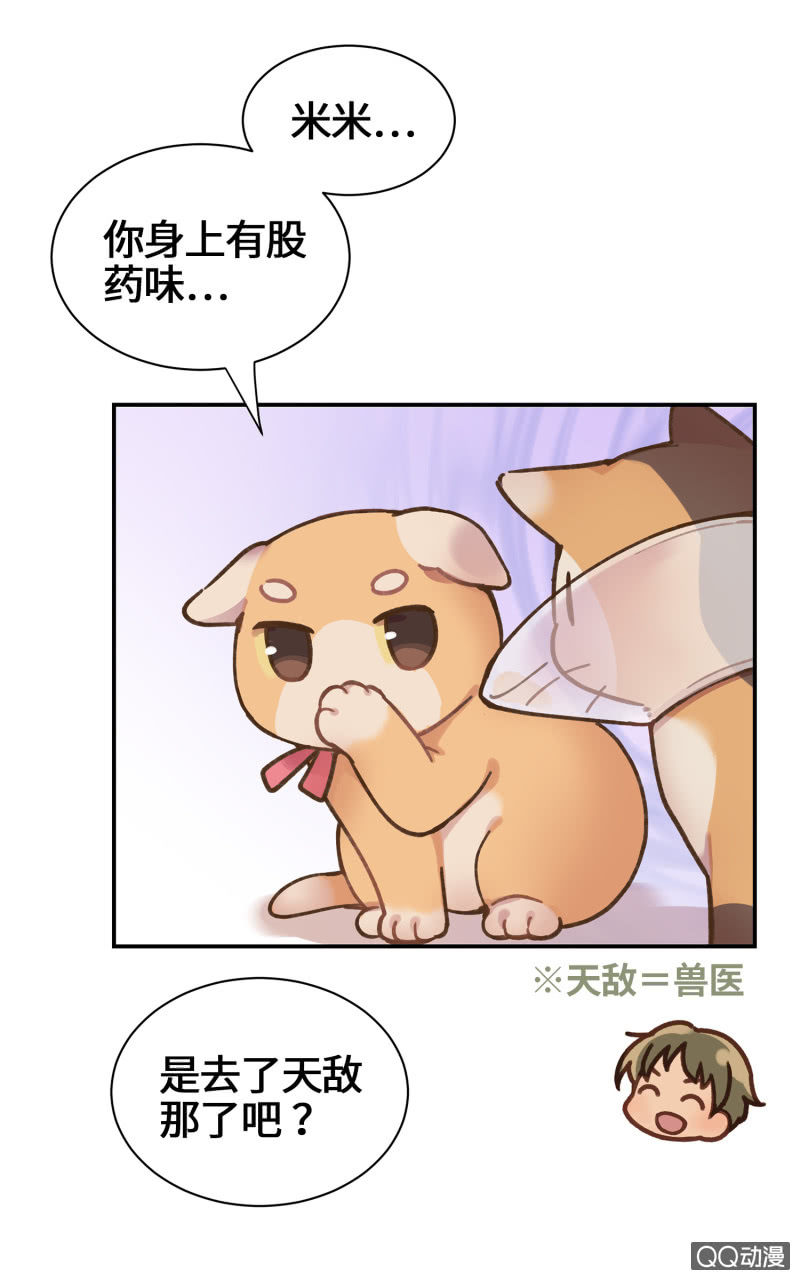 第29杯『最后一次初恋』-第33话