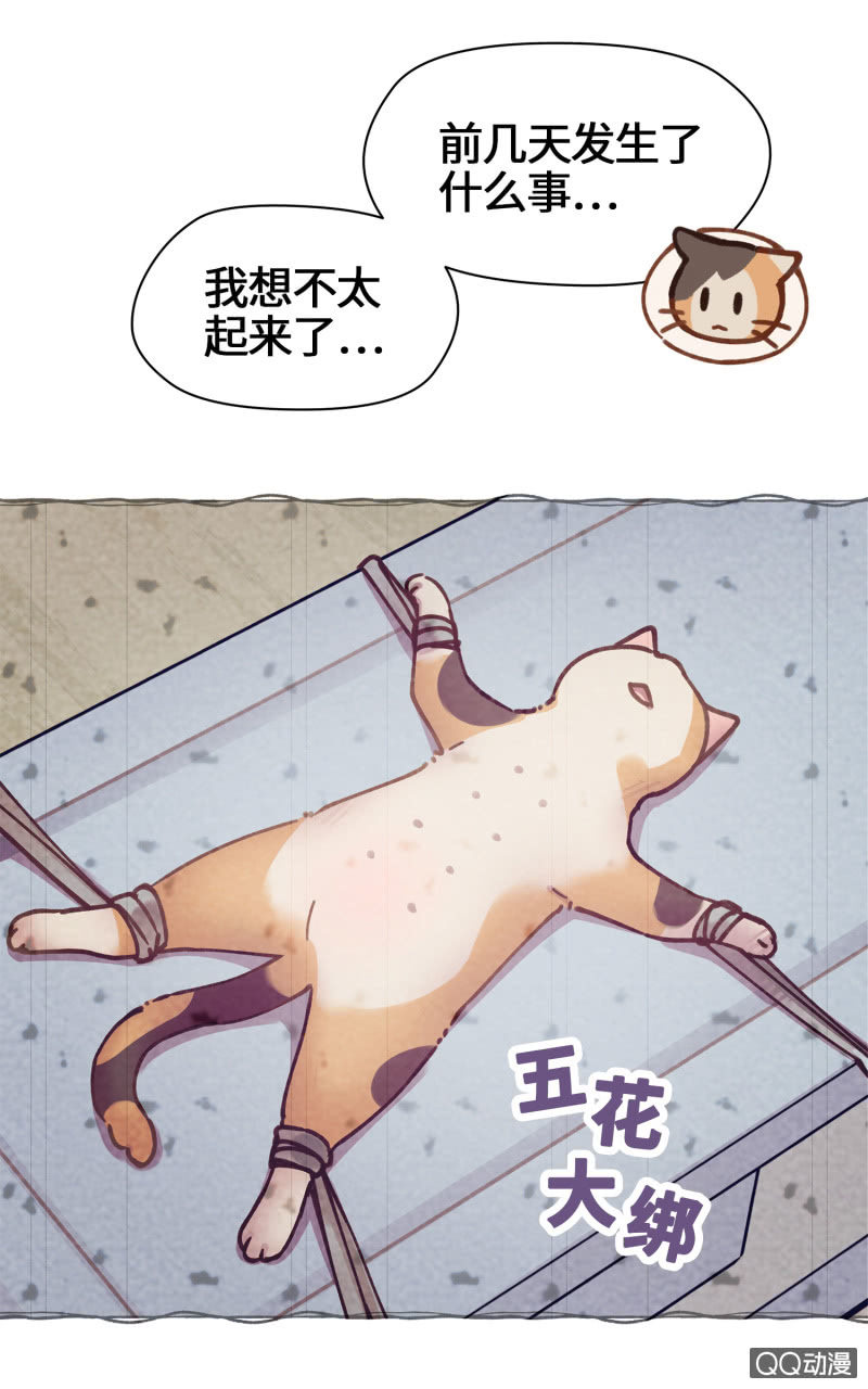 第29杯『最后一次初恋』-第33话