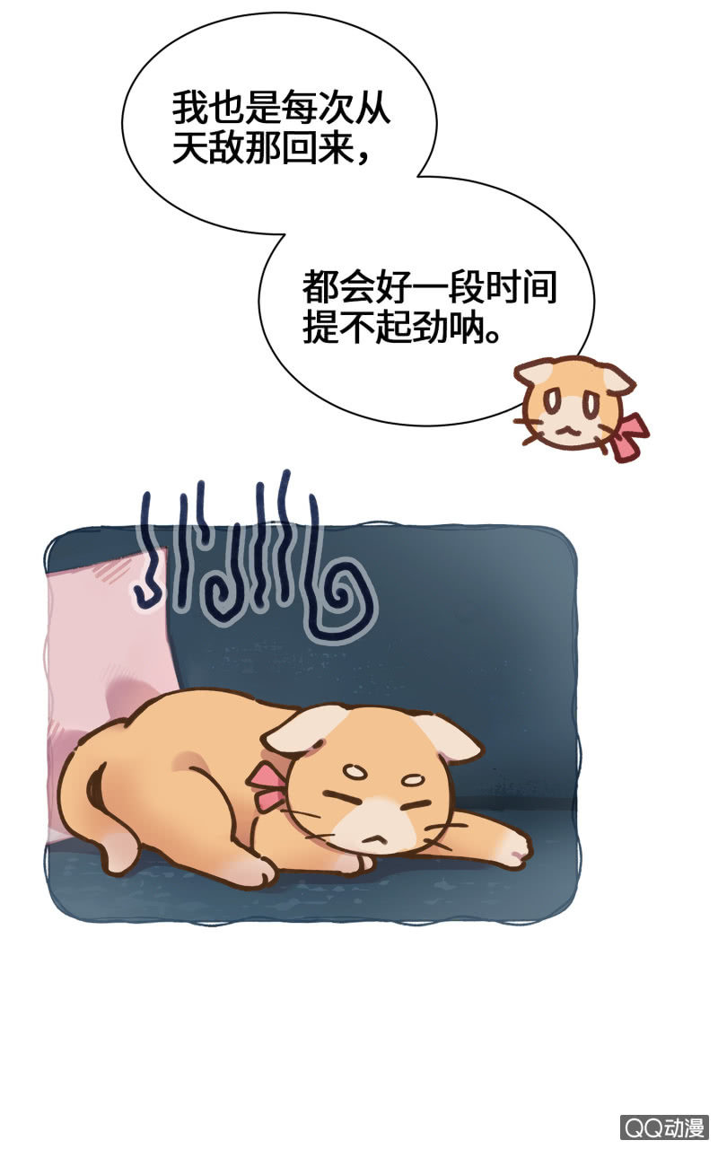 第29杯『最后一次初恋』-第33话