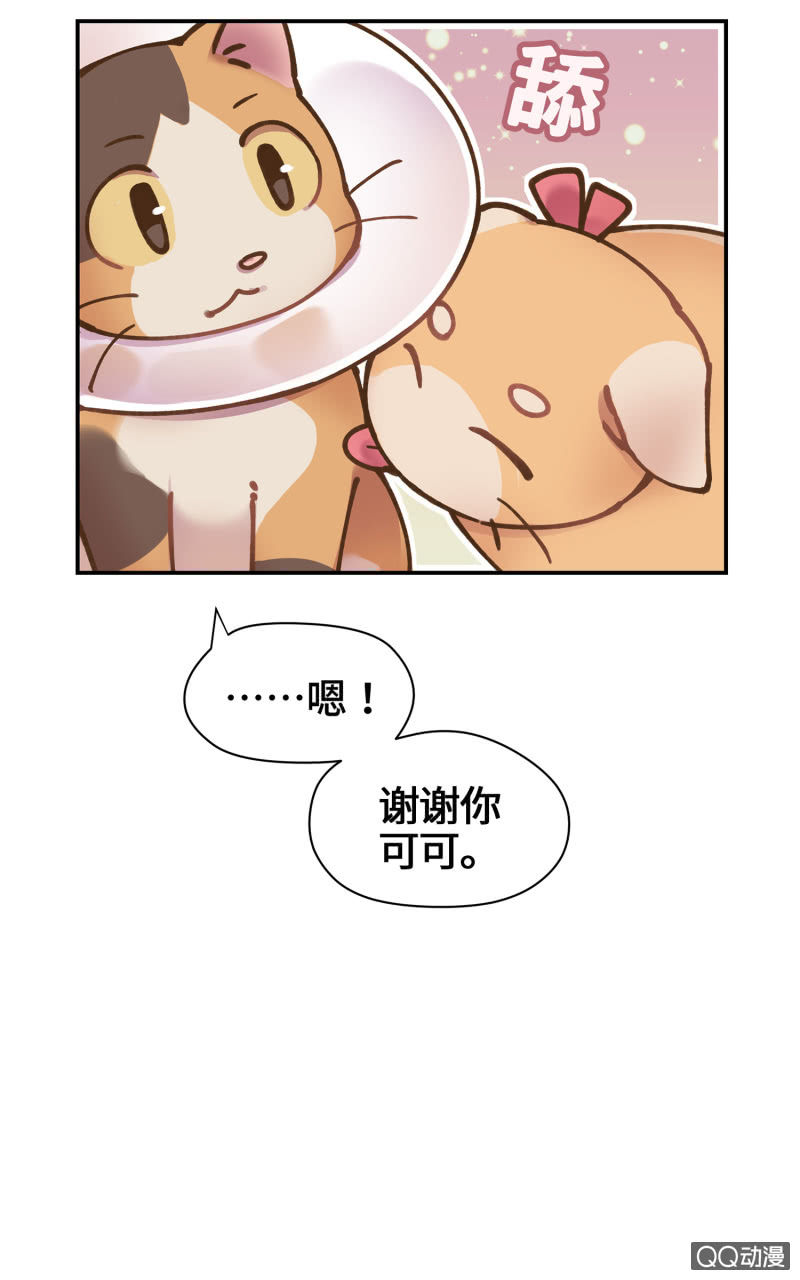 第29杯『最后一次初恋』-第33话