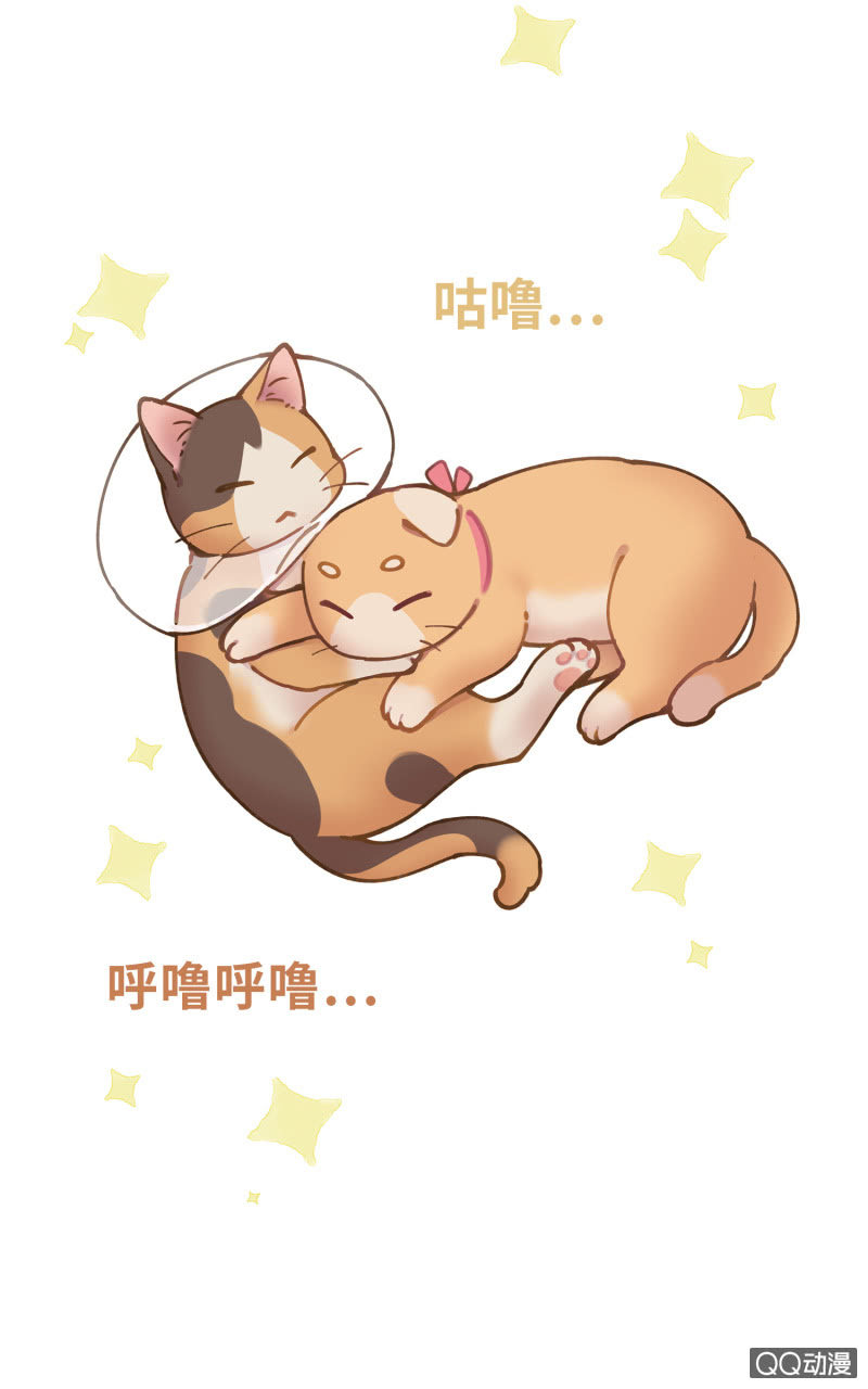 第29杯『最后一次初恋』-第33话