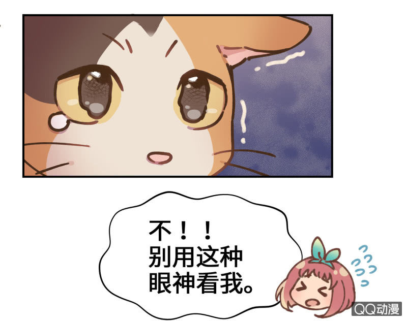 第29杯『最后一次初恋』-第33话