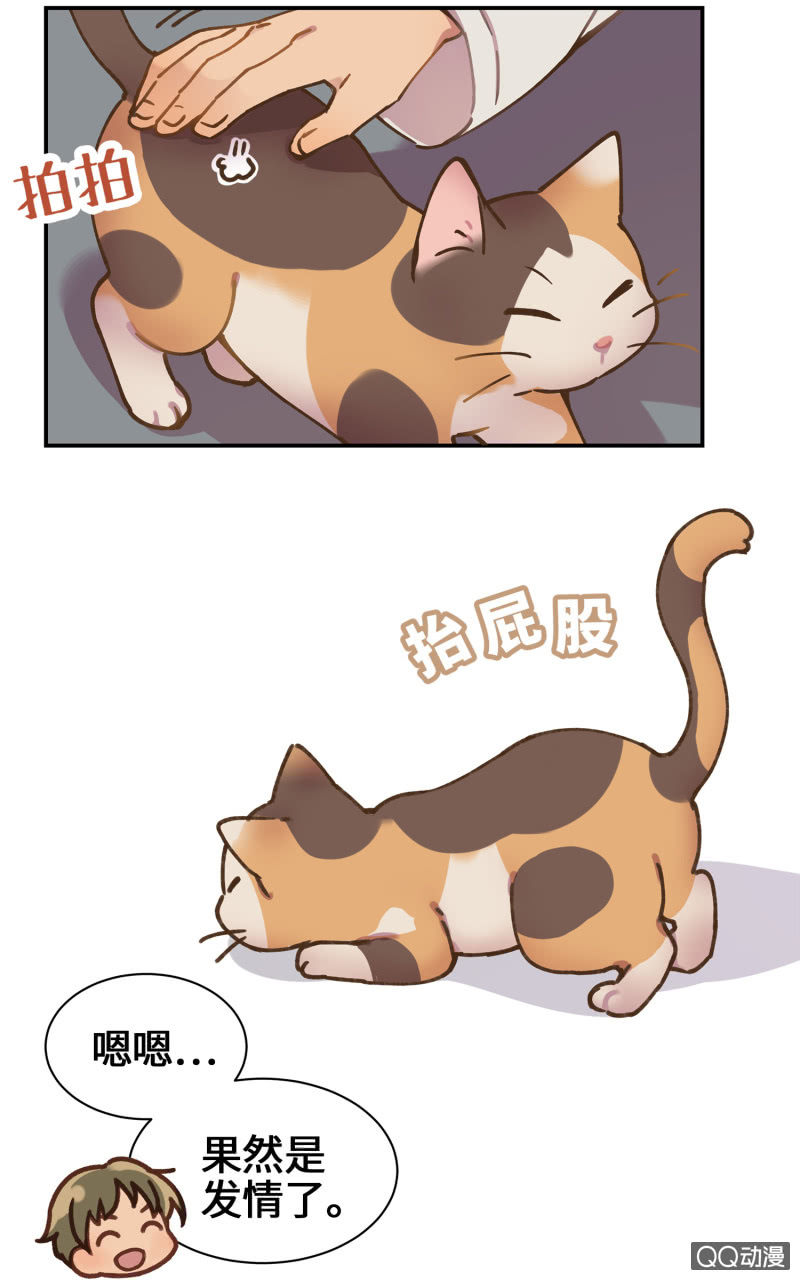 第29杯『最后一次初恋』-第33话