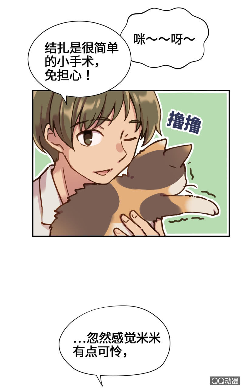 第29杯『最后一次初恋』-第33话