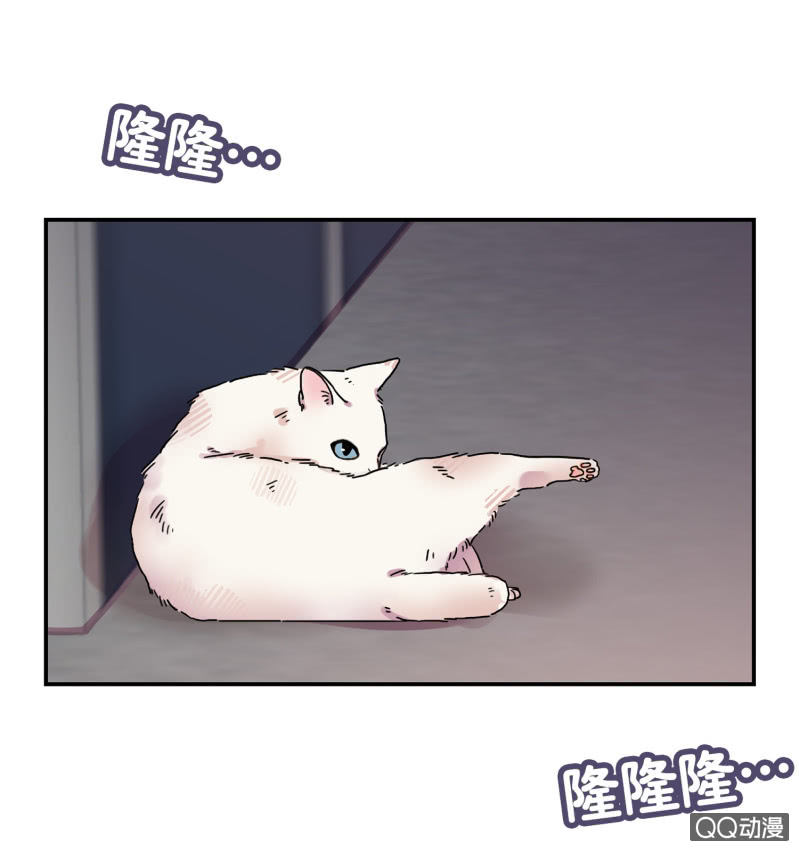 第31杯『像姊妹一样？』-第35话