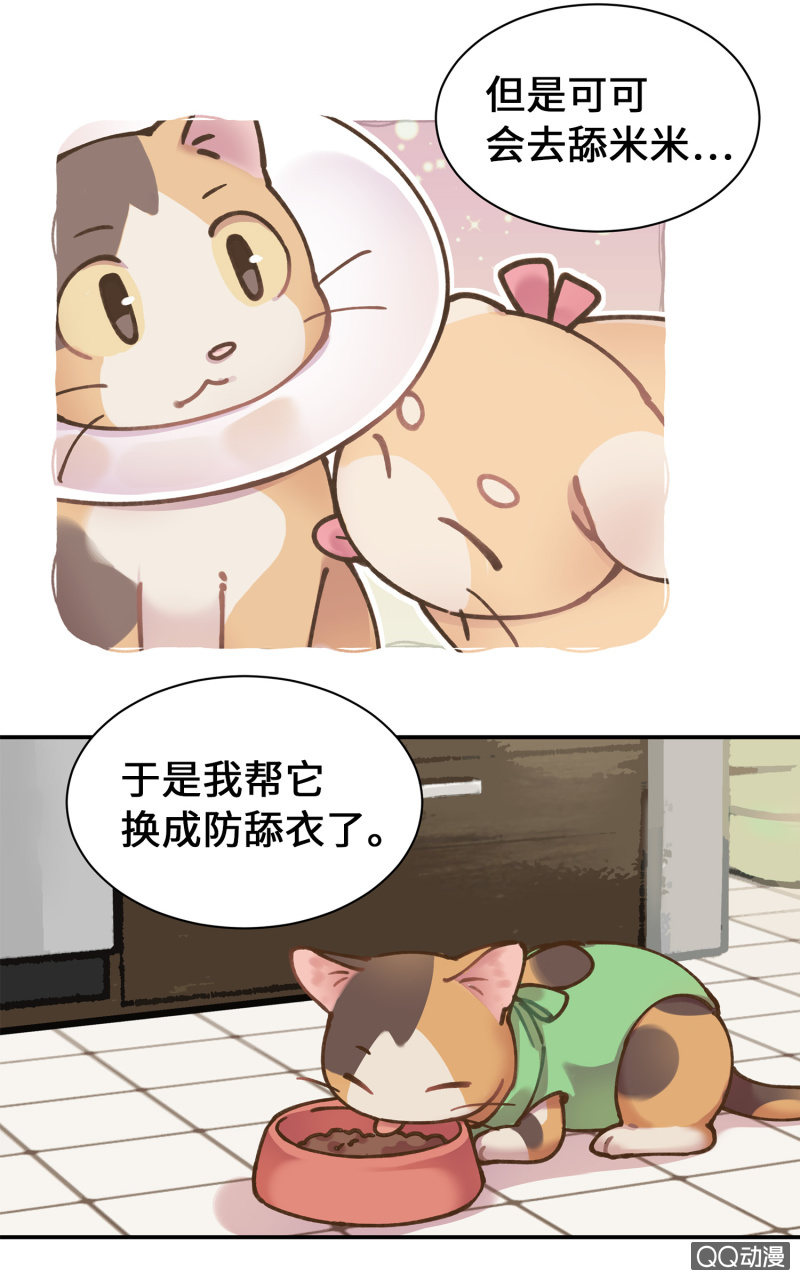 第32杯『两人的时间』-第37话