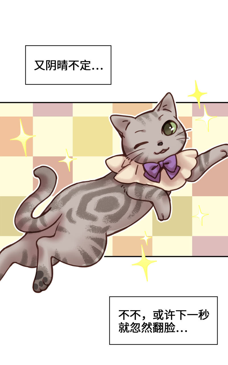 第3杯『冷傲的同事？』-第5话