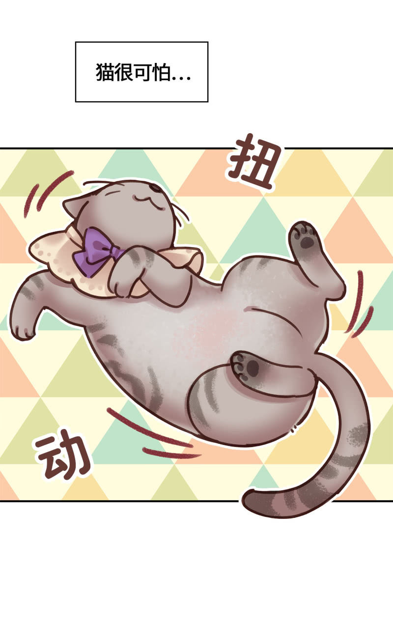 第3杯『冷傲的同事？』-第5话