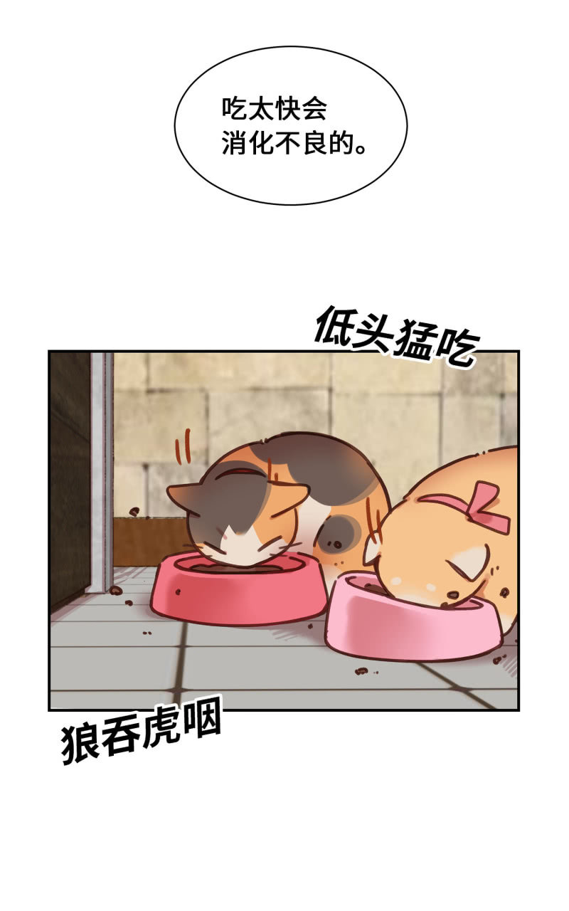 第3杯『冷傲的同事？』-第5话