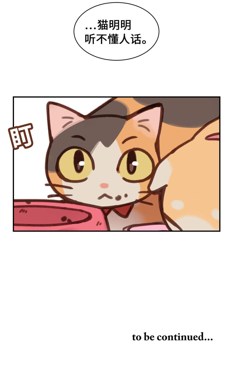 第3杯『冷傲的同事？』-第5话